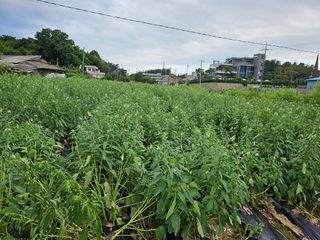 고대박님의 자유주제 · 자유게시판 작성글 사진