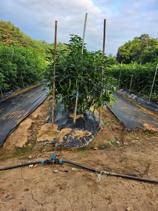 고대박님의 자유주제 · 자유게시판 작성글 사진