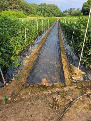 고대박님의 자유주제 · 자유게시판 작성글 사진