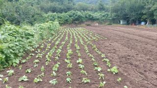 오혜영님의 자유주제 · 자유게시판 작성글 사진