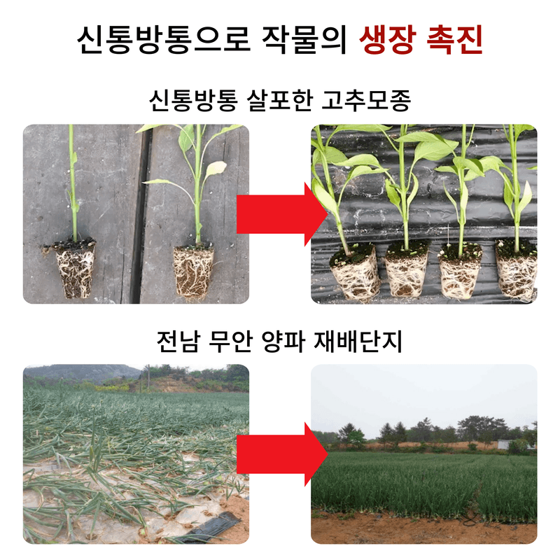 병천아그로주식회사님의 장터 판매 상품 [신통방통 작물 내병 내충 토양개량 식물영양제] 첨부 사진