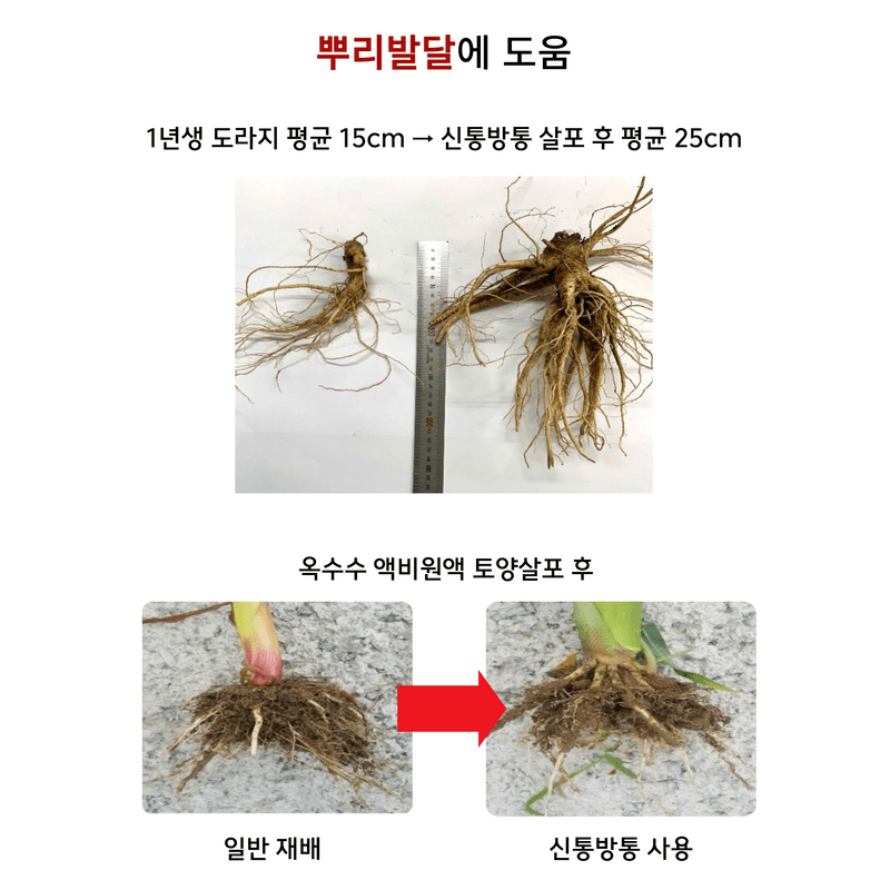 병천아그로주식회사님의 장터 판매 상품 [신통방통 작물 내병 내충 토양개량 식물영양제] 첨부 사진