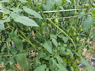 늘항상한결님의 자유주제 · 자유게시판 작성글 사진