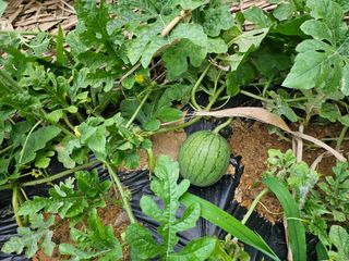 늘항상한결님의 자유주제 · 자유게시판 작성글 사진