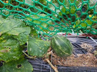 늘항상한결님의 자유주제 · 자유게시판 작성글 사진