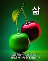 팜모닝 자유주제·자유게시판 게시글 이미지