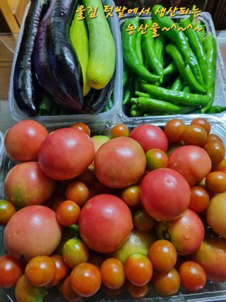 손병만님의 자유주제 · 자유게시판 작성글 사진