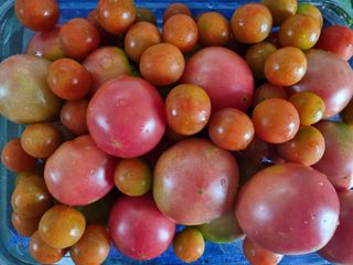 손병만님의 자유주제 · 자유게시판 작성글 사진