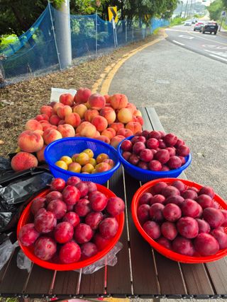 고추나방탄저에적합한님의 자유주제 · 자유게시판 작성글 사진