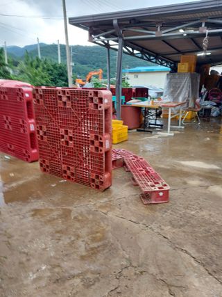 트라이애플1님의 자유주제 · 자유게시판 작성글 사진