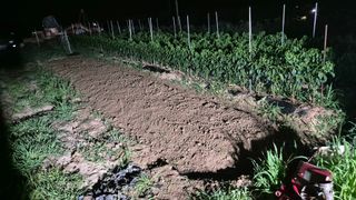 이상주님의 기타작물 · 영농일지 작성글 사진