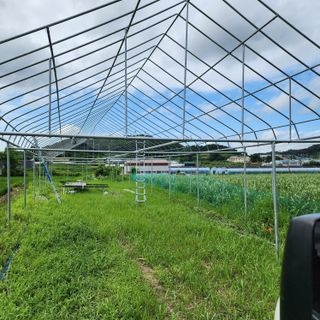 한상범님의 자유주제 · 자유게시판 작성글 사진