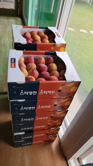안동호님의 자유주제 · 자유게시판 작성글 사진
