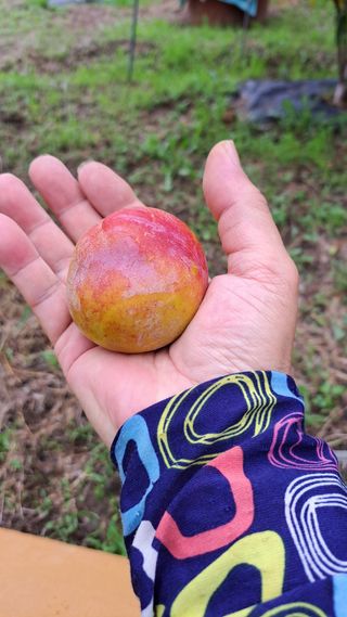 주윤발이님의 작성글 사진