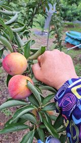 주윤발이님의 작성글 사진