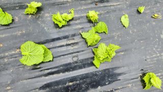 박영주님의 자유주제 · 자유게시판 작성글 사진