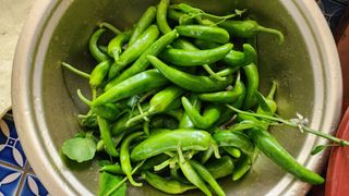 박영주님의 자유주제 · 자유게시판 작성글 사진