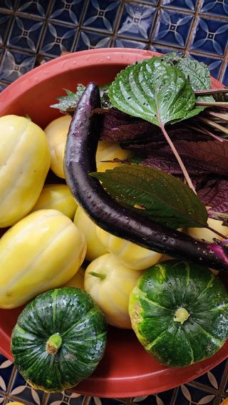 박영주님의 자유주제 · 자유게시판 작성글 사진