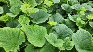 박영주님의 자유주제 · 자유게시판 작성글 사진