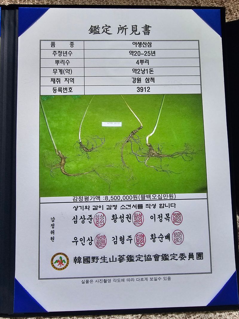 장터 상품 [산삼 판매] 썸네일