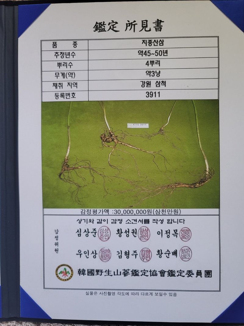 중봉 남일준님의 장터 판매 상품 [산삼 판매] 첨부 사진