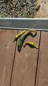 팜모닝 자유주제·건의해요 게시글 이미지