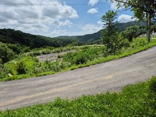 만대산후손님의 감 · 영농일지 작성글 사진