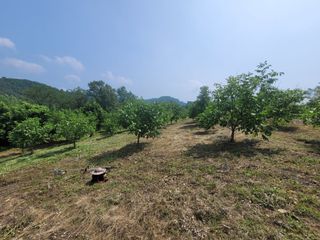 이기석님의 기타작물 · 영농일지 작성글 사진