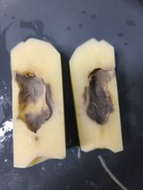 팜모닝 감자·병해충상담 게시글 이미지