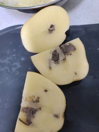 고추15534님의 감자 · 병해충상담 작성글 사진