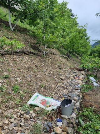 김용대님의 자유주제 · 자유게시판 작성글 사진