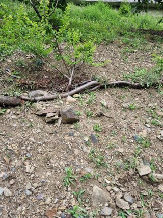 김용대님의 자유주제 · 자유게시판 작성글 사진