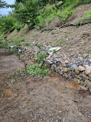 김용대님의 자유주제 · 자유게시판 작성글 사진