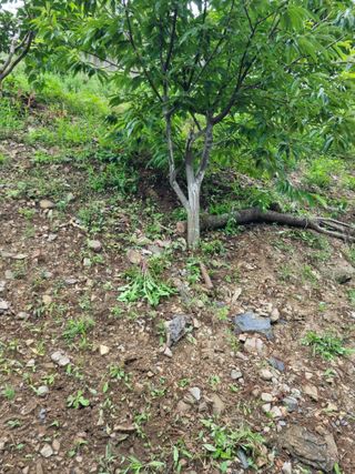 김용대님의 자유주제 · 자유게시판 작성글 사진