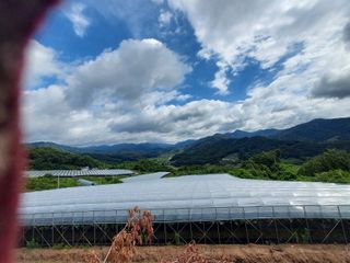 농업회사법인주섬들님의 포도 · 영농일지 작성글 사진