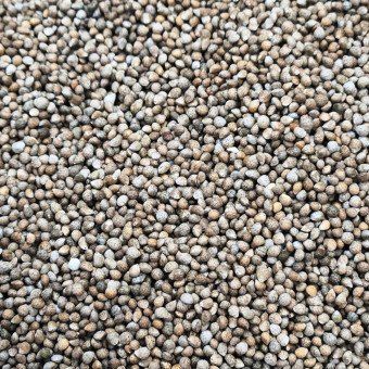 장터 상품 [들깨[판매완료]] 썸네일