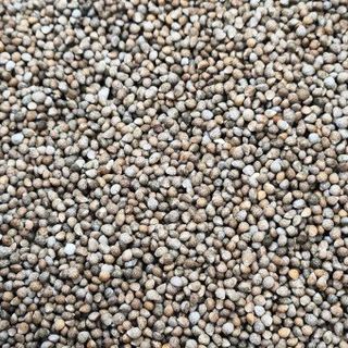 김명옥님의 작성글 사진