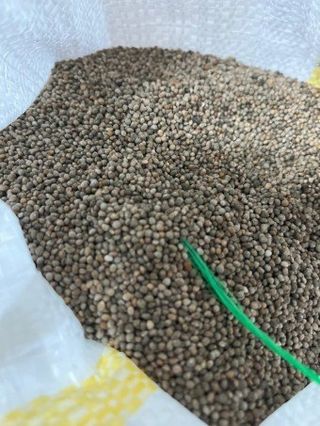 김명옥님의 작성글 사진