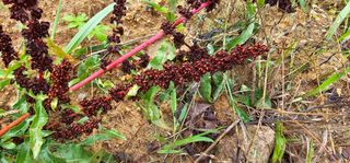 포포나무학교한치원님의 자유주제 · 자유게시판 작성글 사진