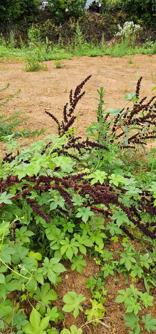 포포나무학교한치원님의 자유주제 · 자유게시판 작성글 사진