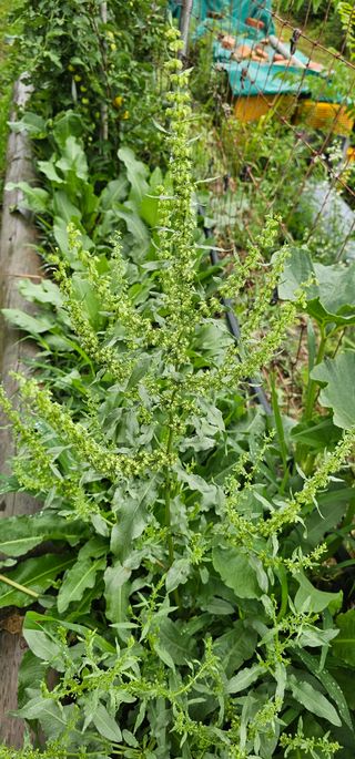 포포나무학교한치원님의 자유주제 · 자유게시판 작성글 사진