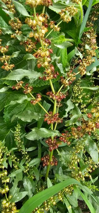 포포나무학교한치원님의 자유주제 · 자유게시판 작성글 사진