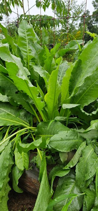 포포나무학교한치원님의 자유주제 · 자유게시판 작성글 사진