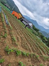 팜모닝 콩·자유게시판 게시글 이미지