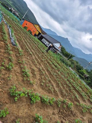 동부0079님의 콩 · 자유게시판 작성글 사진