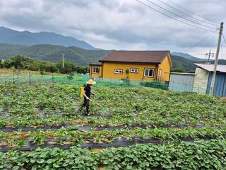 동부0079님의 콩 · 자유게시판 작성글 사진