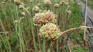 조한솔님의 작성글 사진