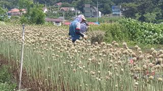 조한솔님의 작성글 사진