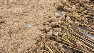 조한솔님의 작성글 사진