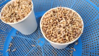 조한솔님의 작성글 사진